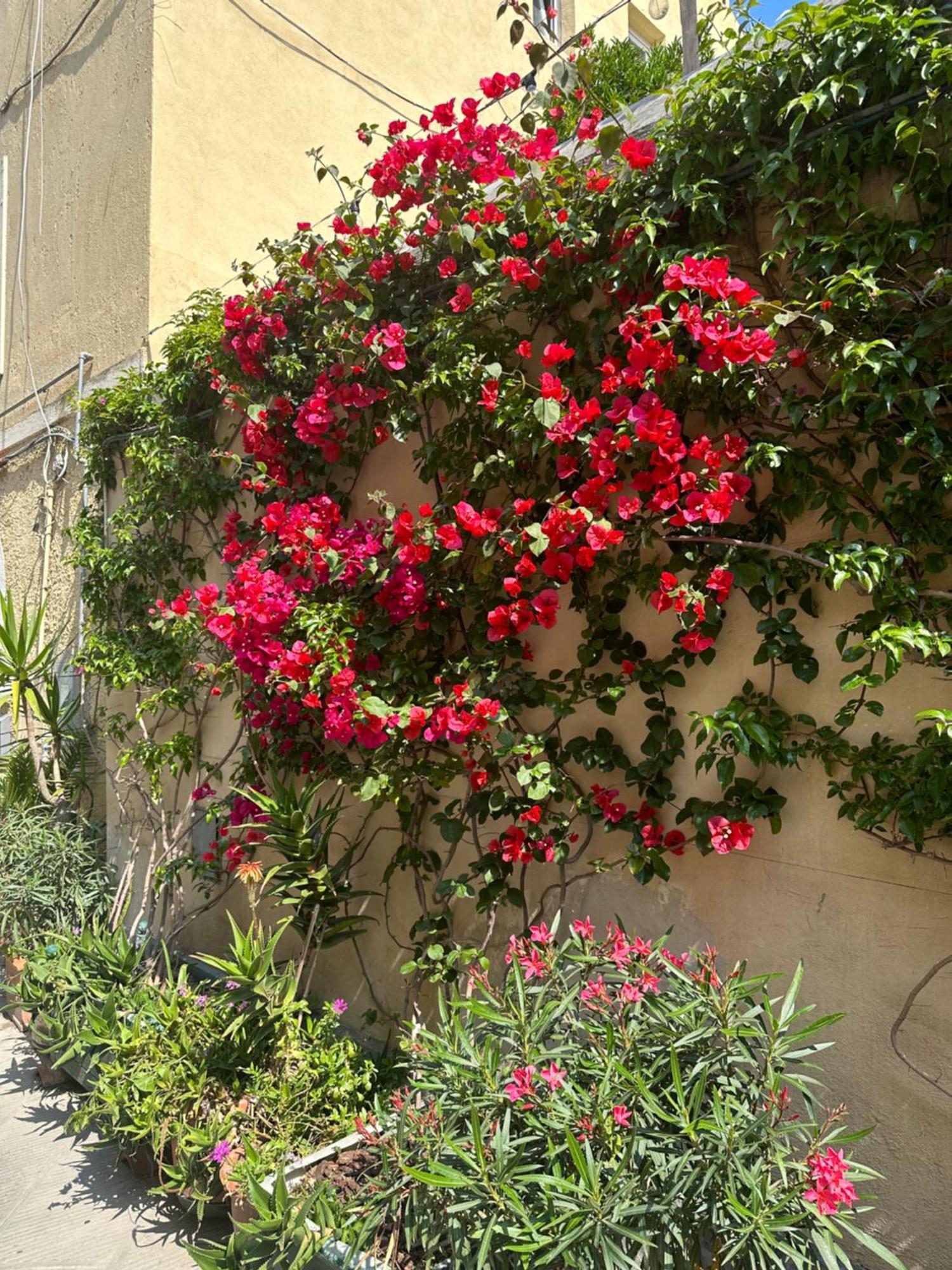 B&B Tony And Judy Orbetello Exterior foto